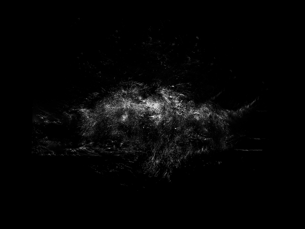 Underwater art photograph - Four Elements Series by Sachov